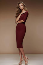 MERYL - bordeaux fitted sheath dress with sleeves